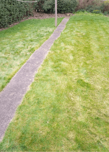 garden-clearance-Edlington-after