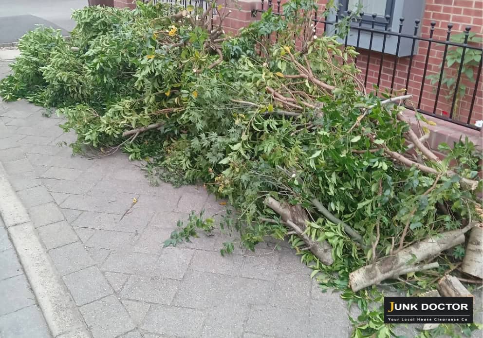 garden-clearance-Intake-trees