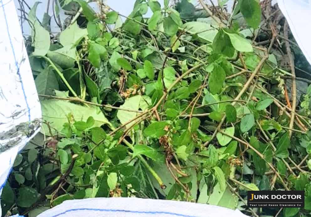 garden-clearance-Rotherham-green-waste